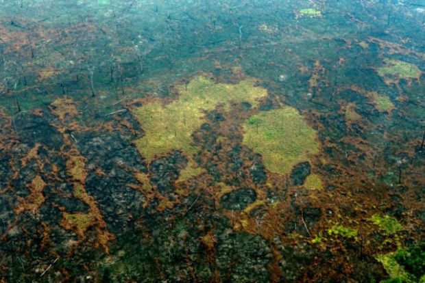 20201209 Amazon deforestation